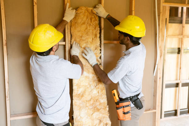 Best Insulation for New Construction  in Fulshear, TX